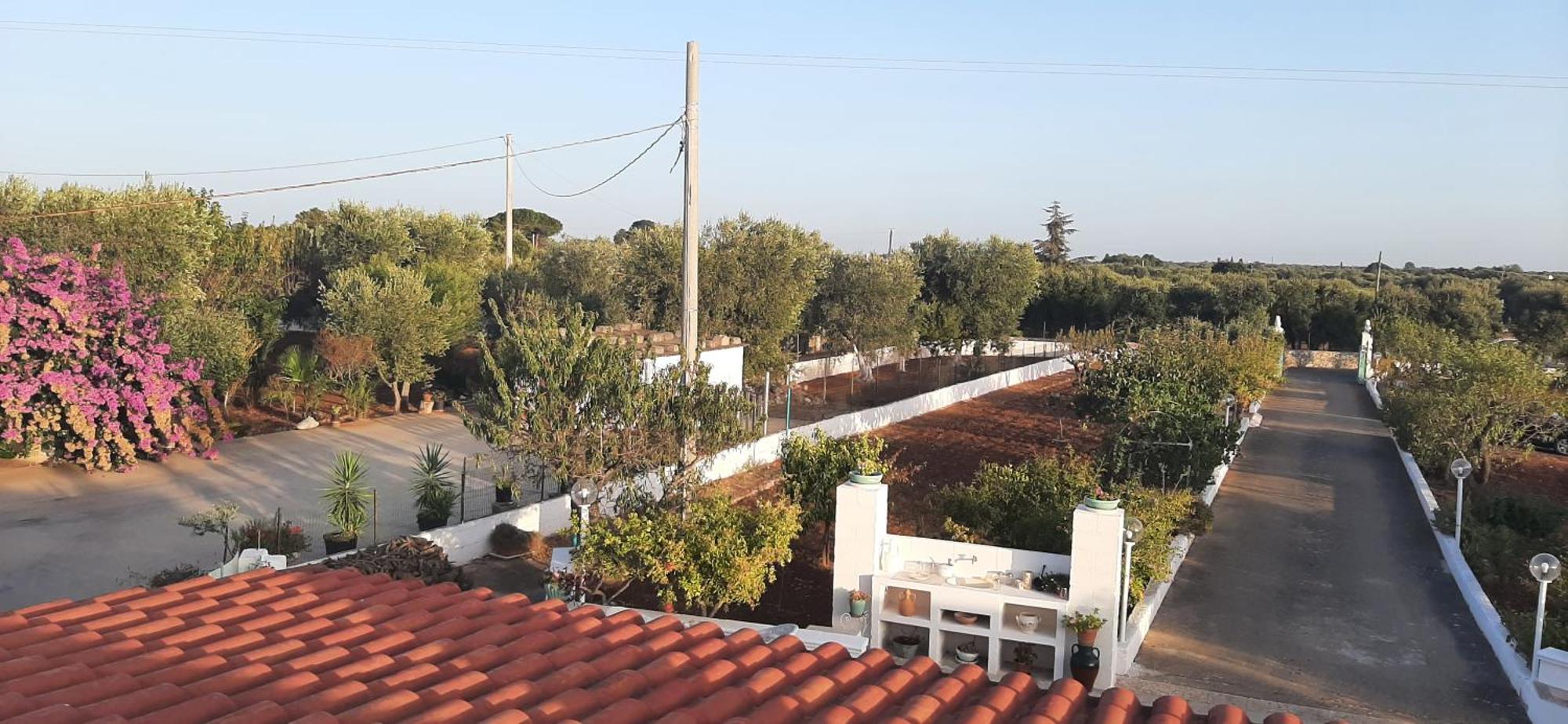 Villa Mina Остуни Екстериор снимка